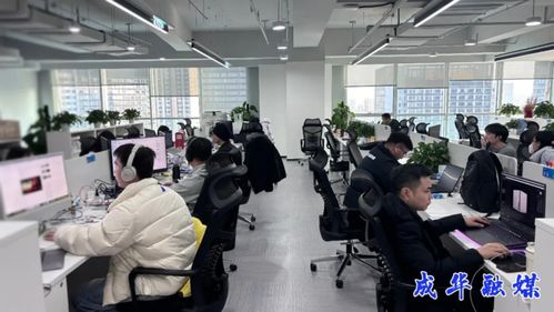 出海升級，攻堅克難 成都成華科技企業開啟2026沖刺模式